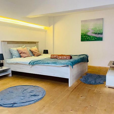 Appartamento Sweet cozy studio ultracentral NEW Cluj-Napoca Esterno foto