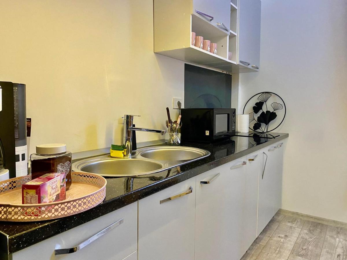 Appartamento Sweet cozy studio ultracentral NEW Cluj-Napoca Esterno foto