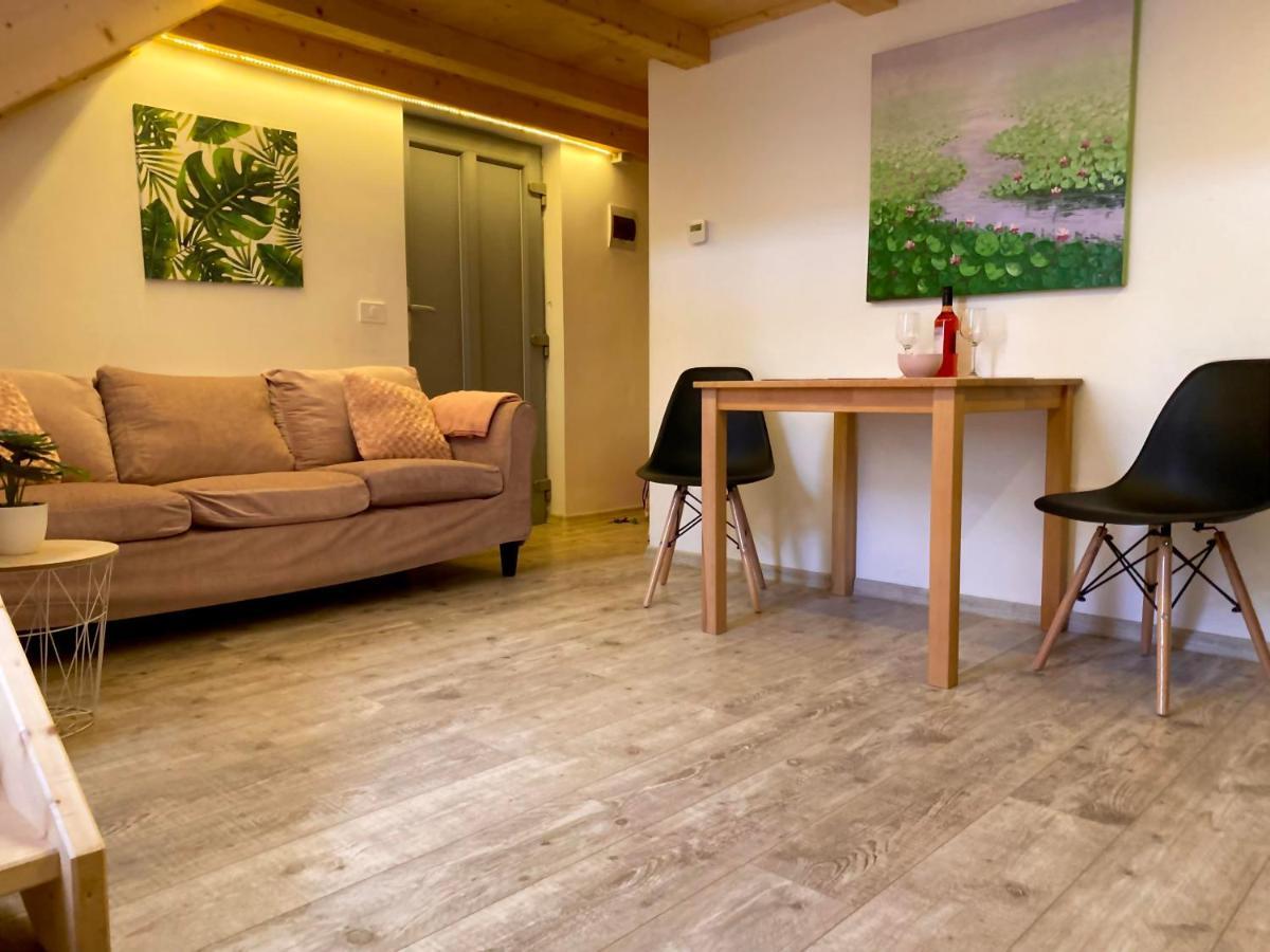Appartamento Sweet cozy studio ultracentral NEW Cluj-Napoca Esterno foto